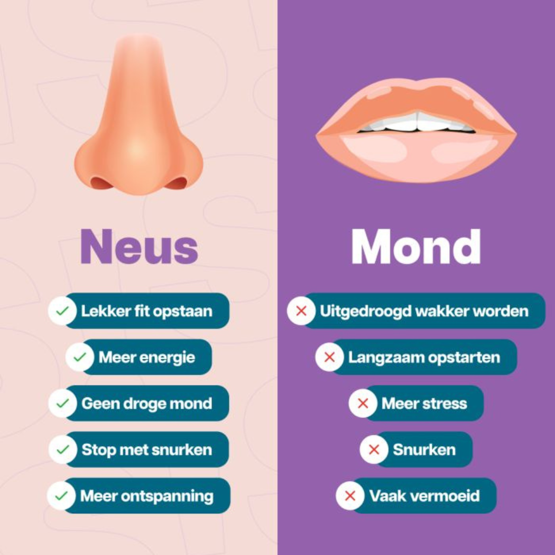 Viva Neusstrips (transparant)